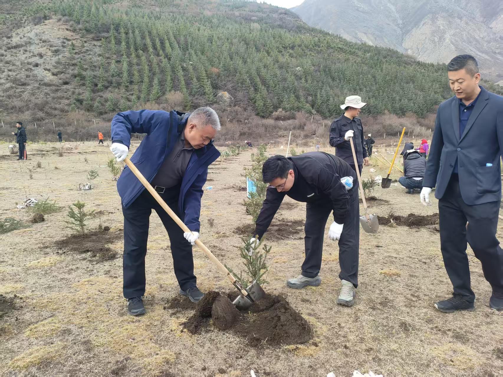 循化县春季国土绿化暨义务植树活动拉开序幕