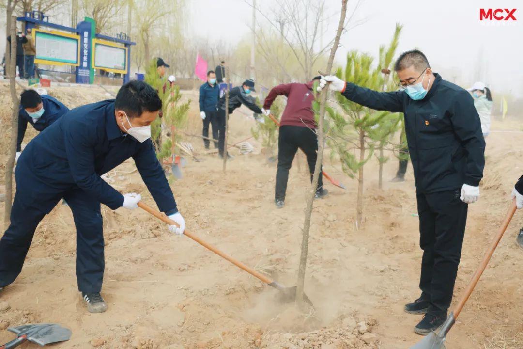 循化县春季国土绿化暨义务植树活动为“和美循化”增添了一抹绿色